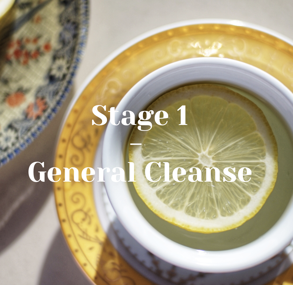 the healing plan, thryoid help, hormones nutritunional ebook, hashimoto diet, thryoid helping foods, cleanse