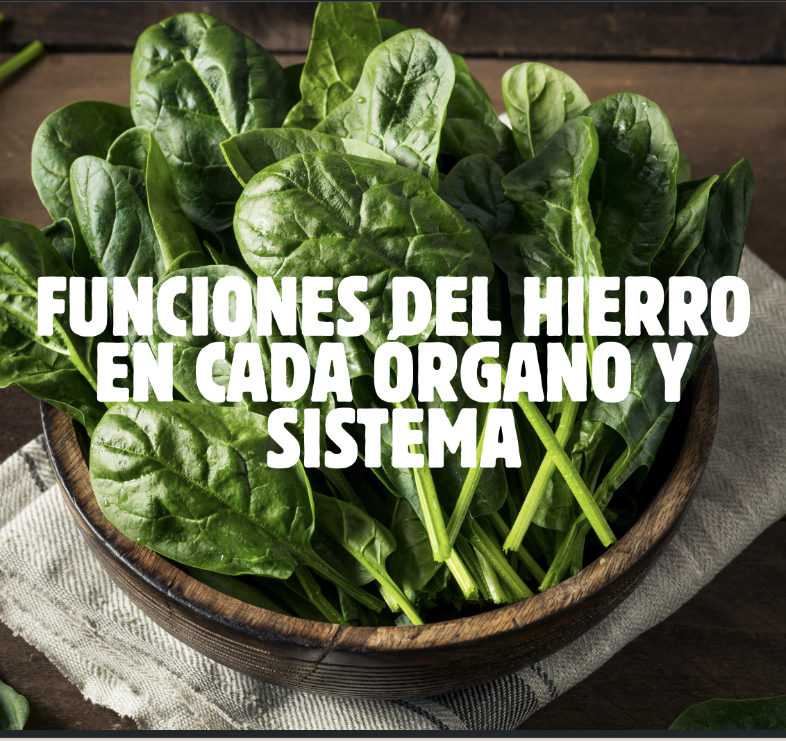 IRON RESET de Jenny Vargas, guía práctica de 104 páginas sobre hierro y ferritina