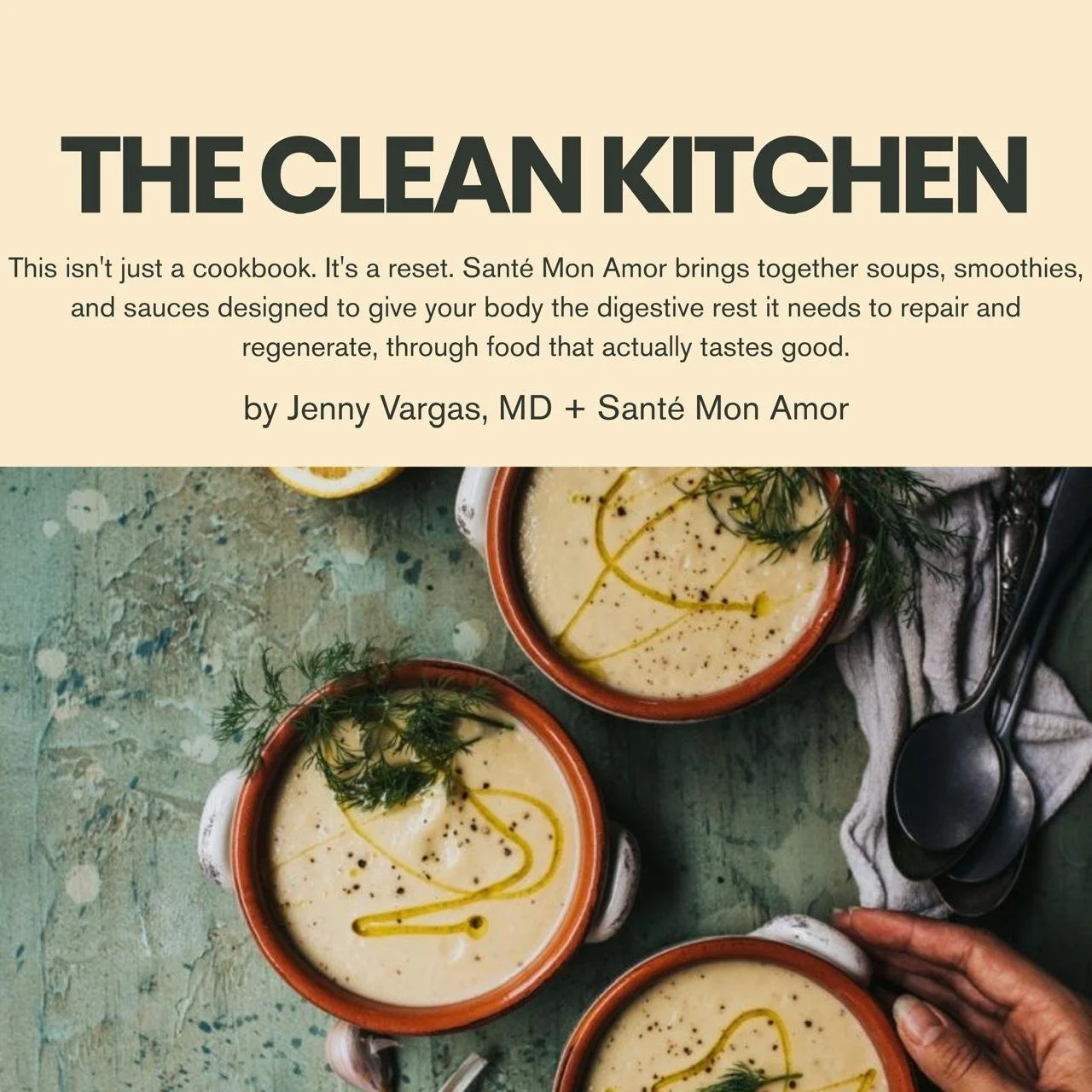 healthy recipes ebook, healthy smoothie recipes, healthy soups recipes book, healthy dressing sauces ebook