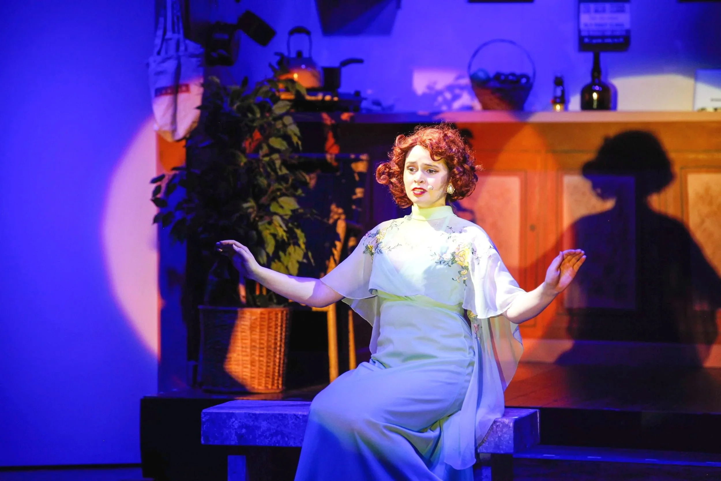 The Drowsy Chaperone