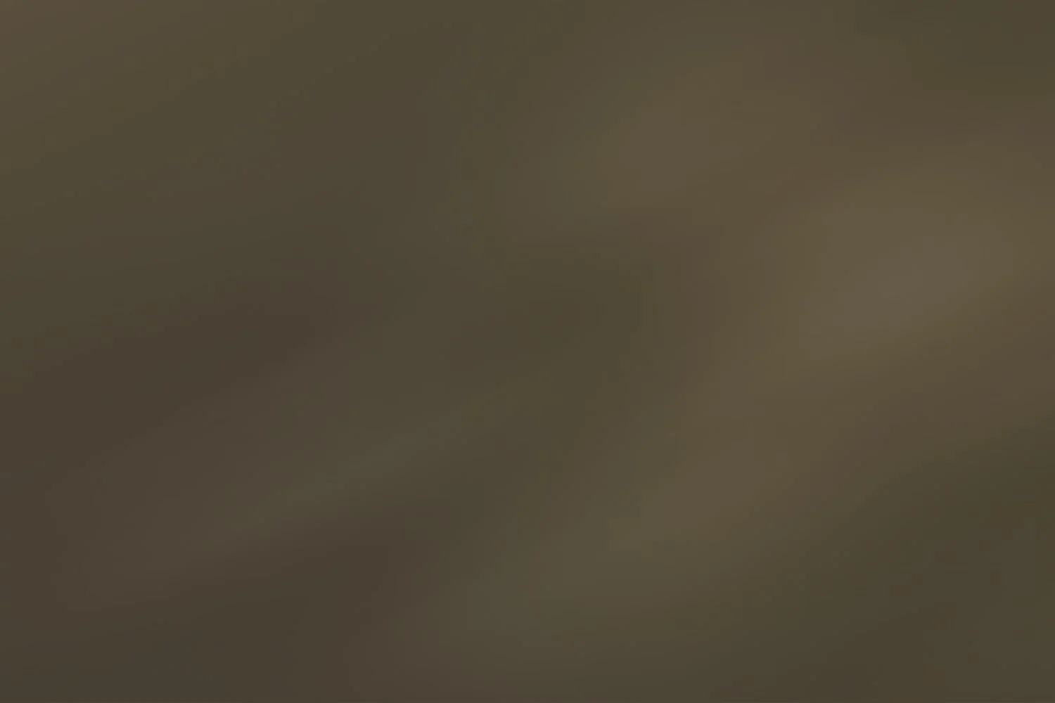 The image is too blurry to discern any objects or details.