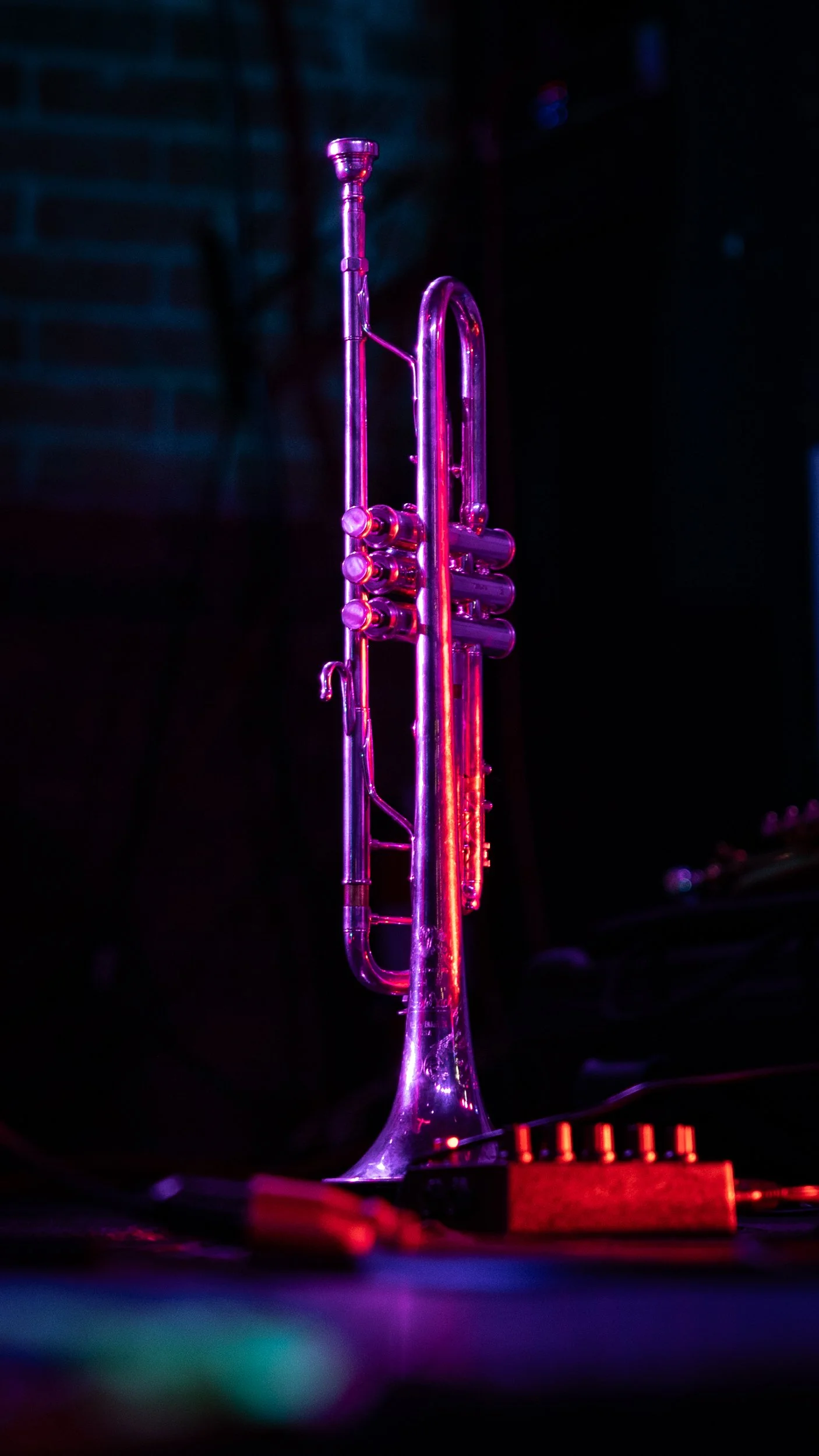 Azzinaro-8421.JPG