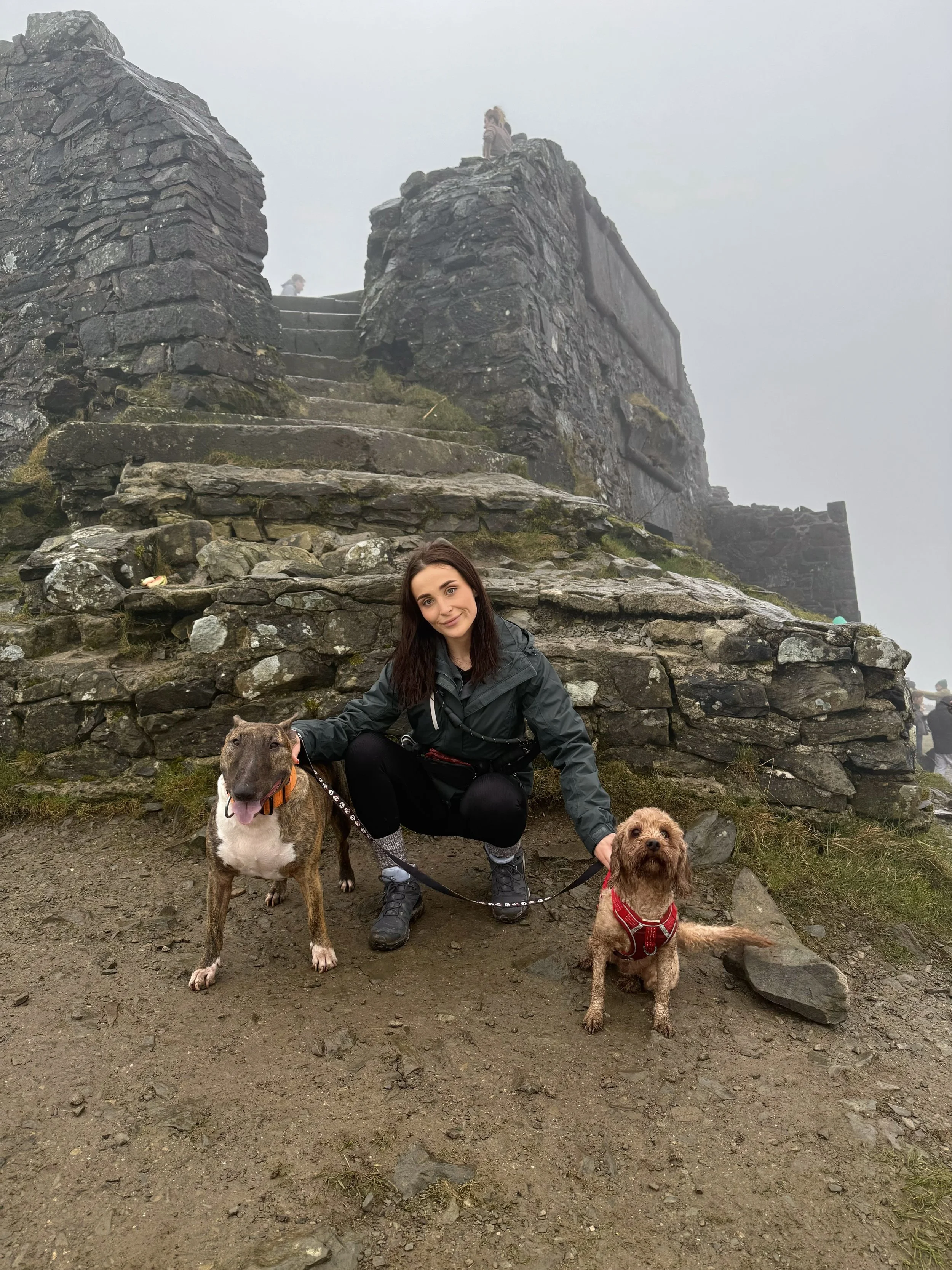 Pet Sitting & Pop in Visits