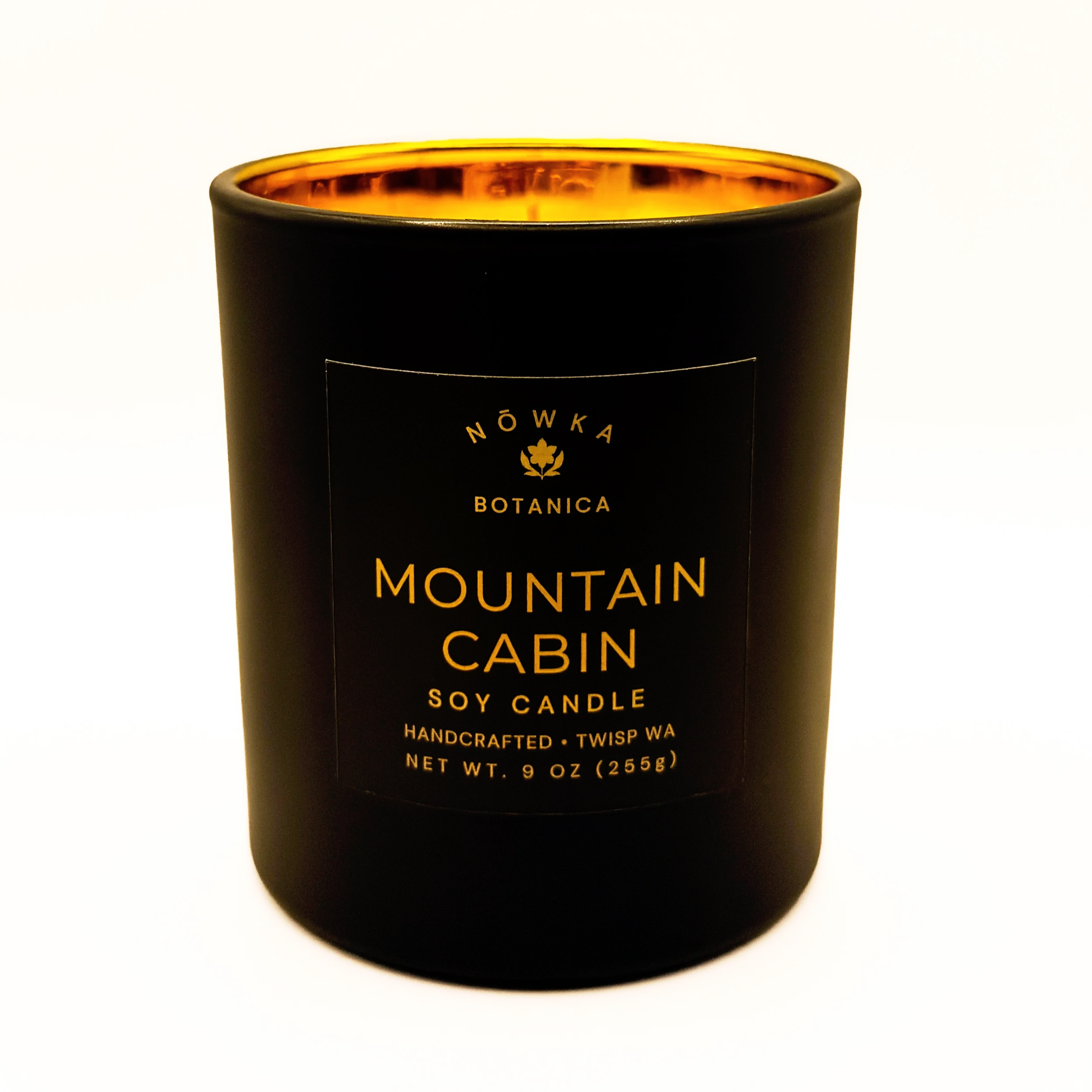 MOUNTAIN CABIN