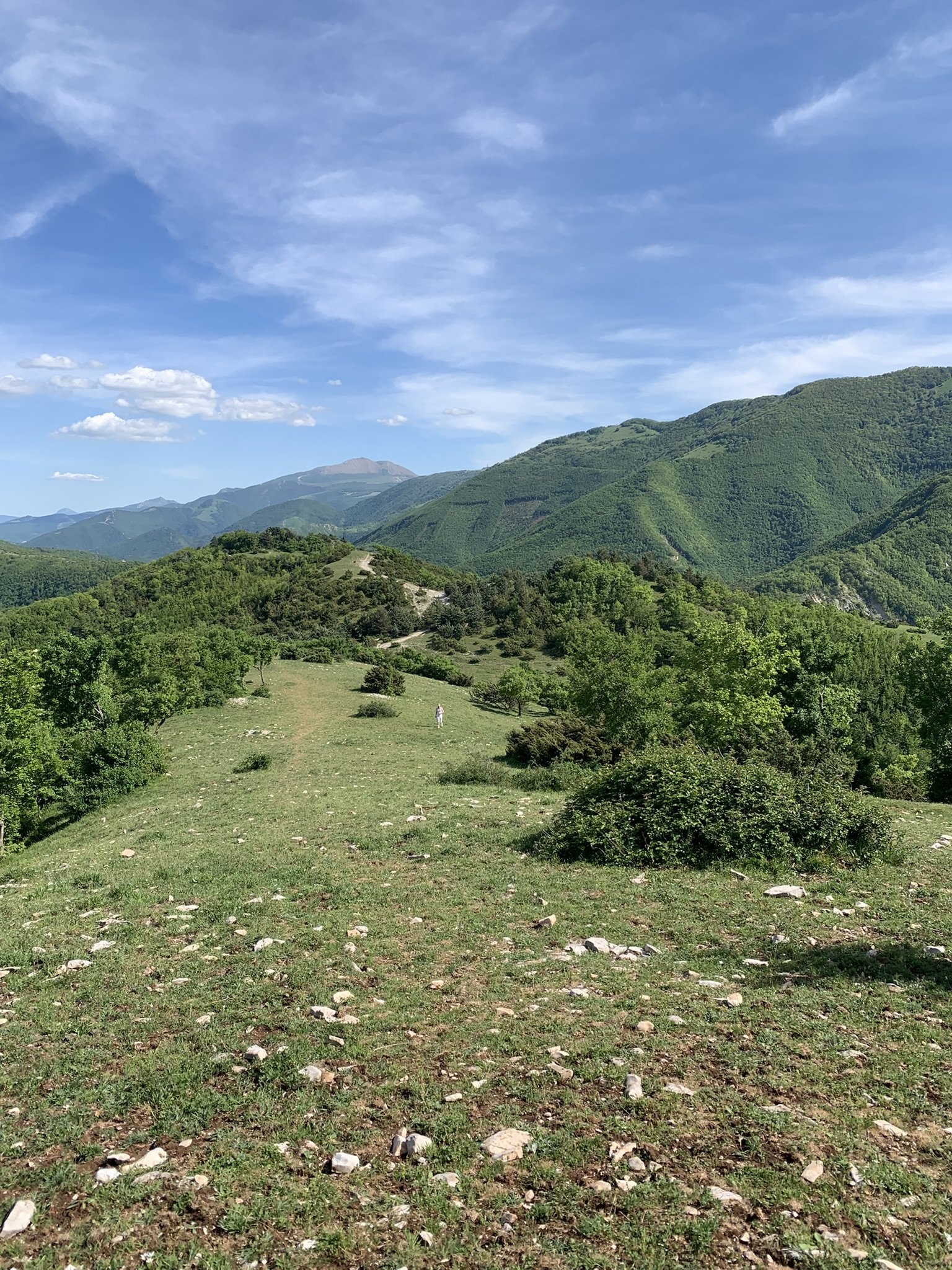 Scenic view of green rolling hills and mountains under a partly cloudy blue sky.