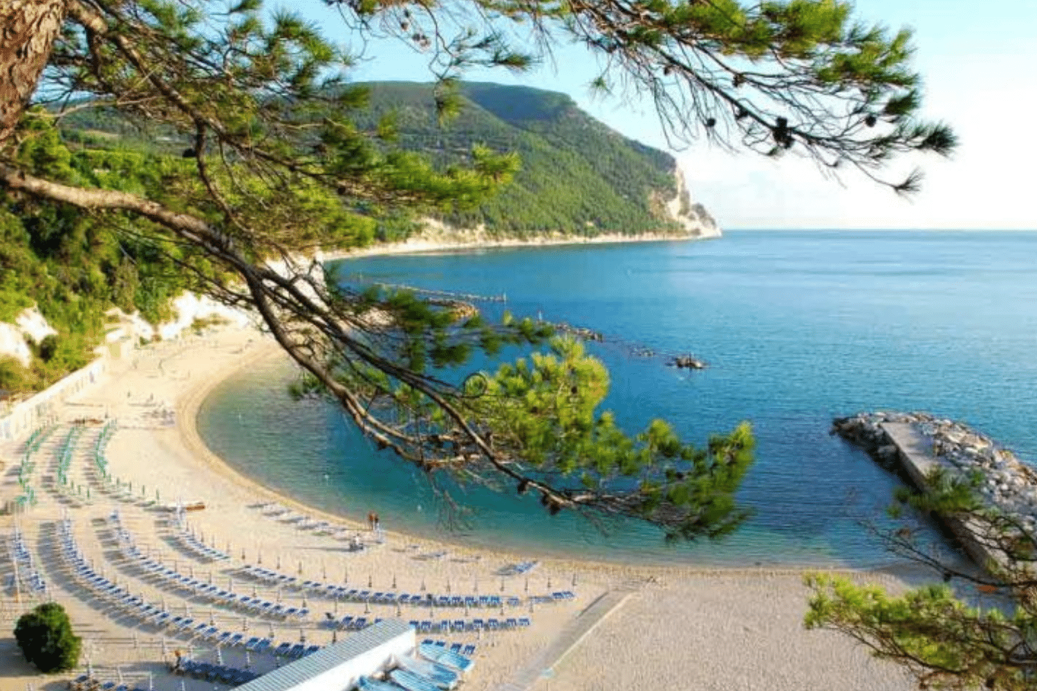 A scenic view of a beach with lounge chairs, surrounded by green hills and a tree branch in the foreground, overlooking a calm blue sea with rocky breakwaters.