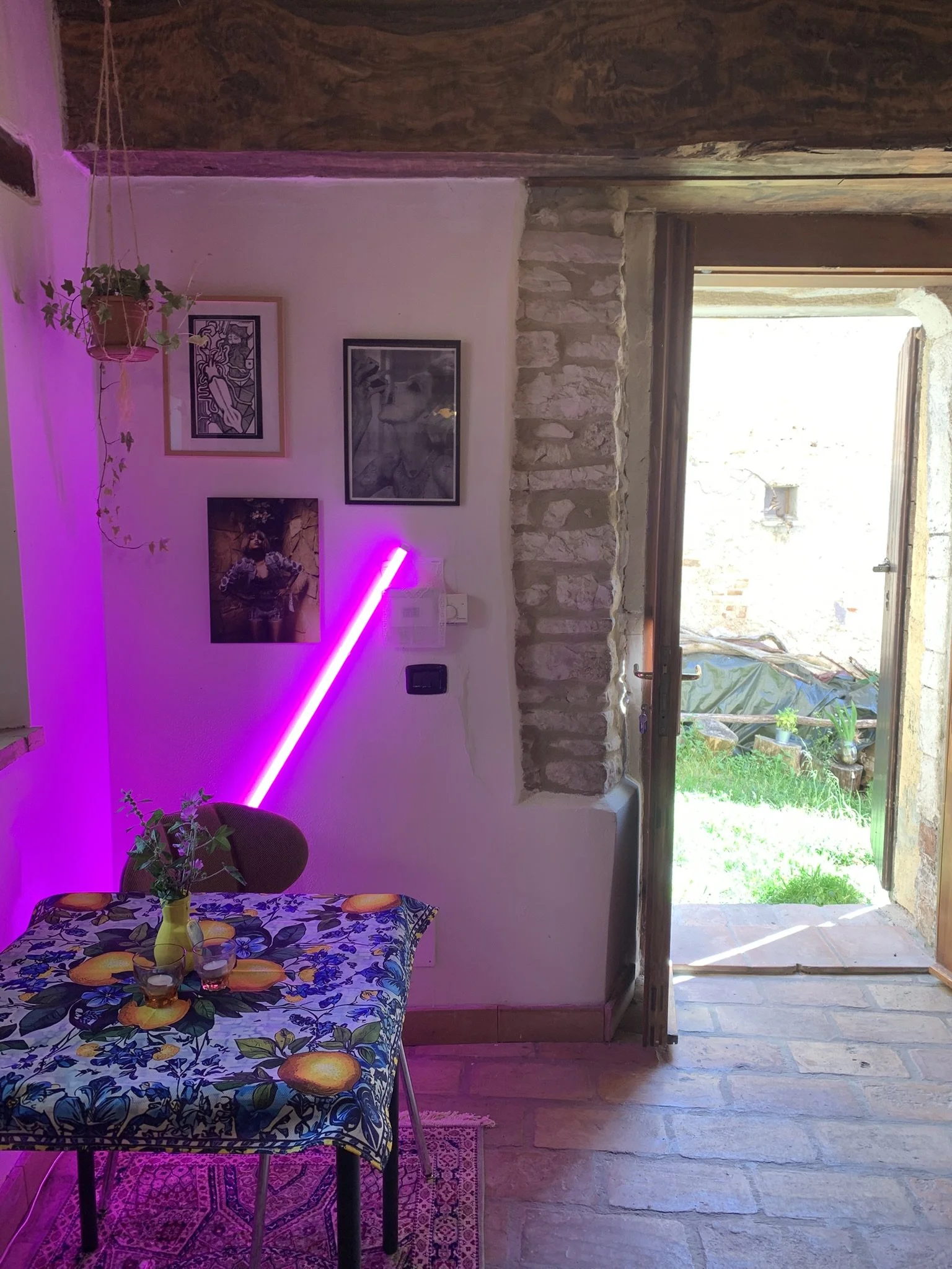 An indoor scene showing a table with a fruit-patterned tablecloth, a small plant in a yellow vase, and glasses on top. The wall has framed artwork and a pink neon light. There is a doorway leading outside to a garden with grass and a stone pathway.