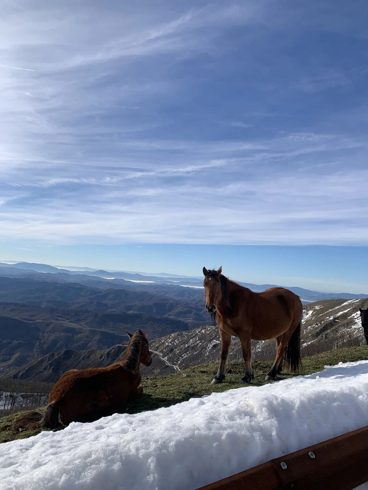 Three brown horses on a mountain slope, with snow patches on the ground, scenic view of mountain ranges and a partly cloudy sky in the background.