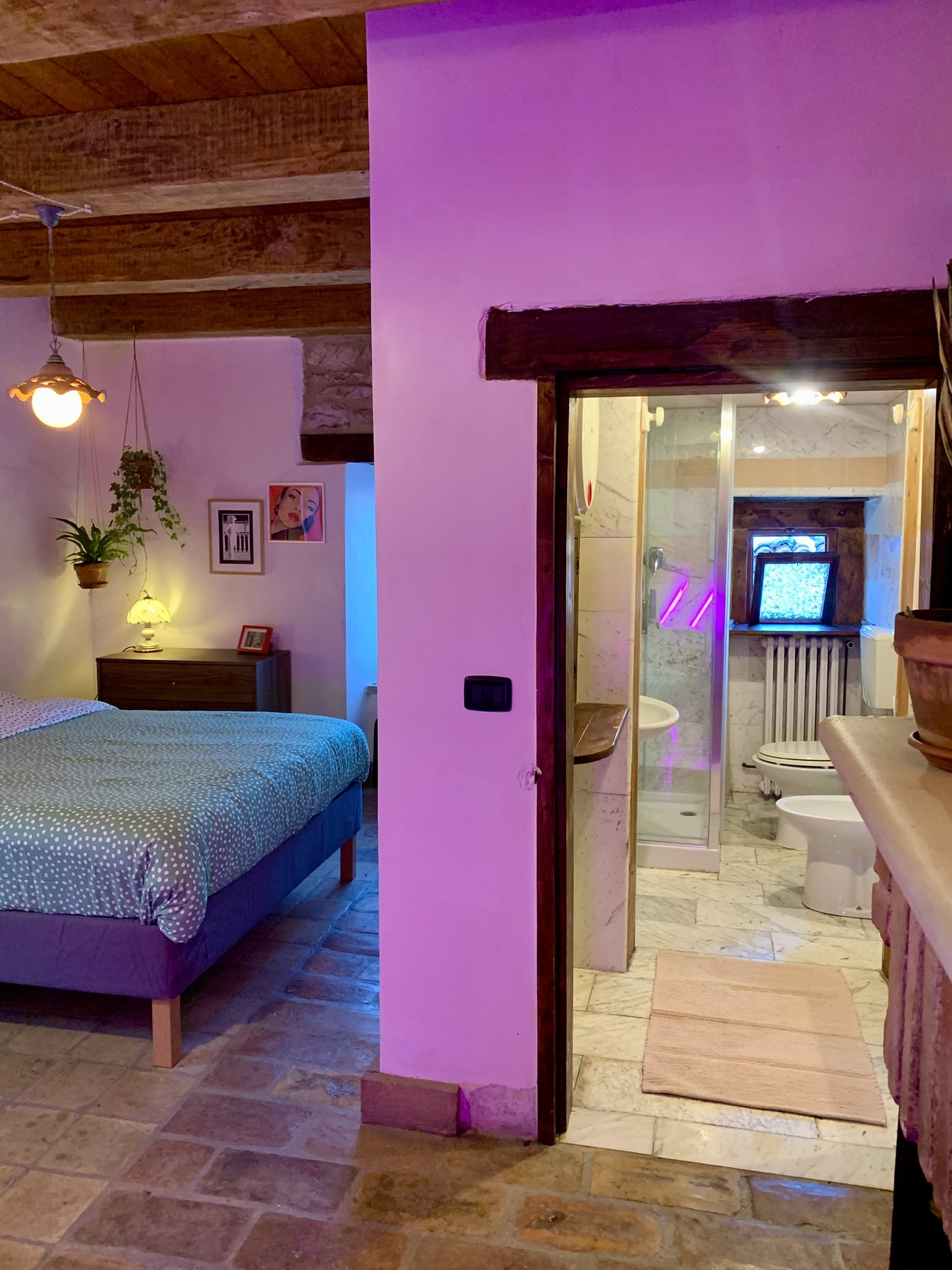 Interior view showing a bedroom on the left with a bed covered in a polka dot blanket, a nightstand with a lamp, and wall art including a framed picture of a woman and a small abstract picture. To the right, there is a bathroom with a shower and a to