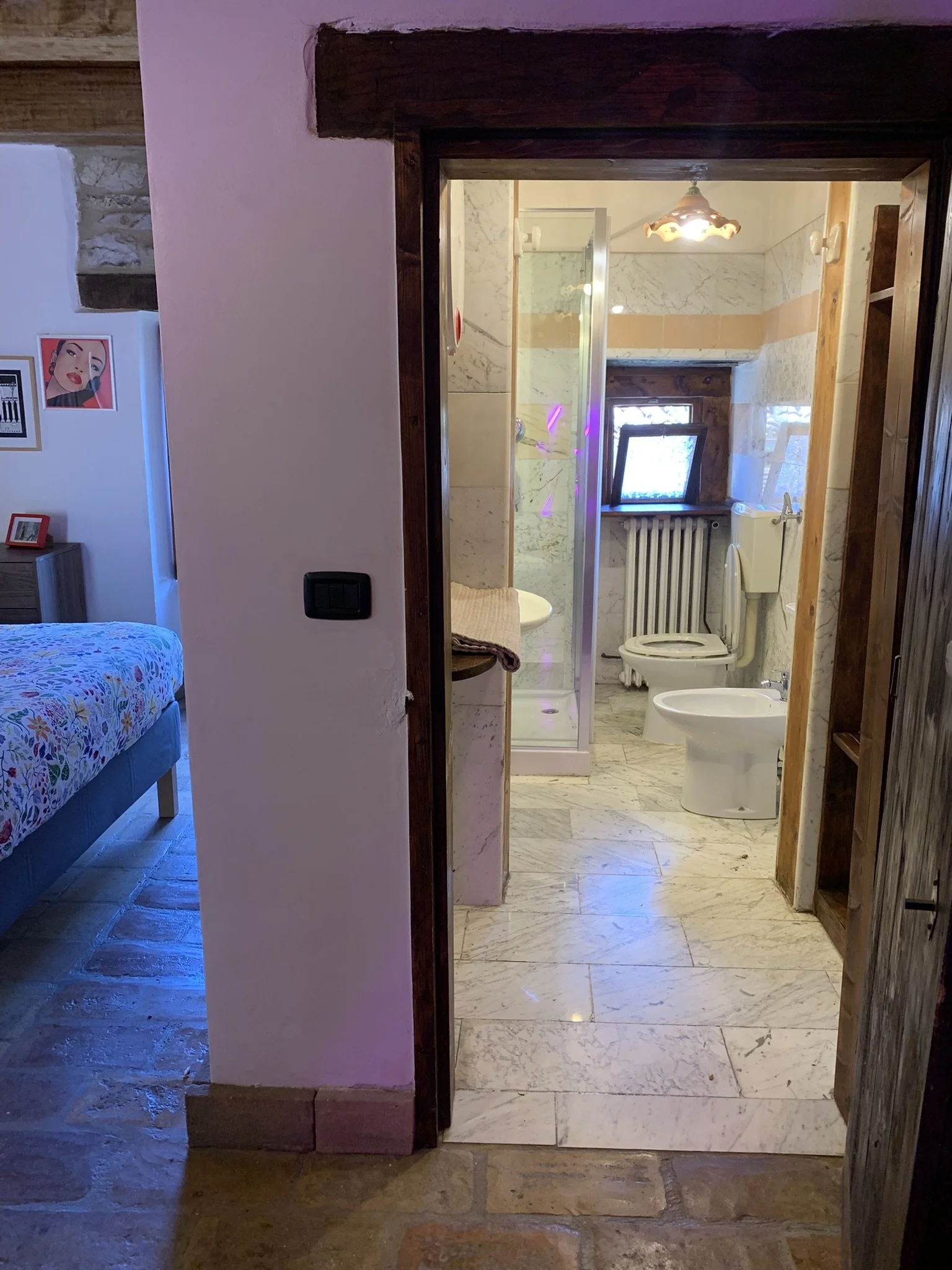 View of a bathroom with a shower, toilet, bidet, and small window. Behind the doorway, part of another room with a bed and wall art is visible.