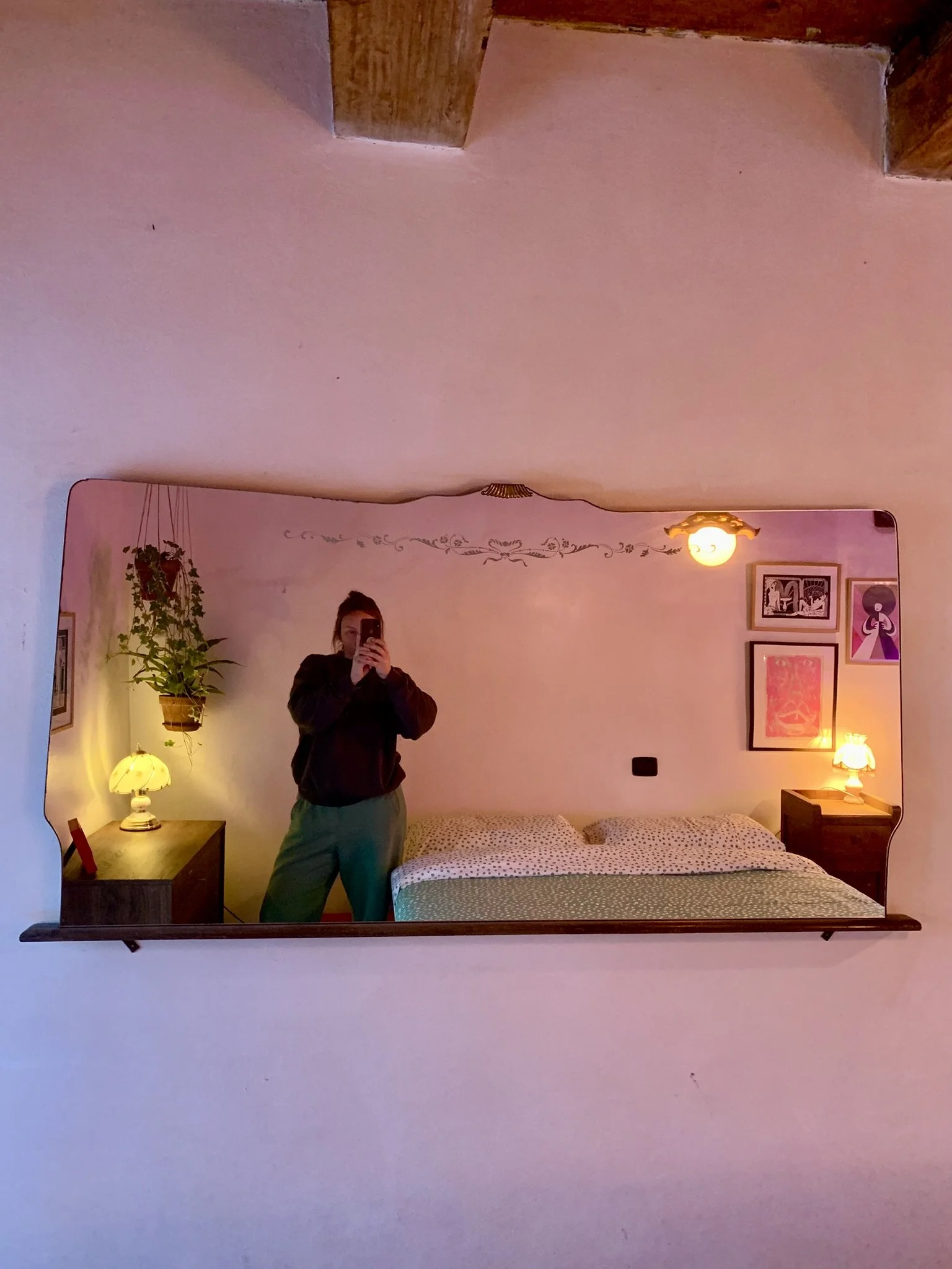 A person taking a selfie in a mirror in a cozy bedroom with a bed, nightstand, framed artwork, a hanging plant, and warm lighting.