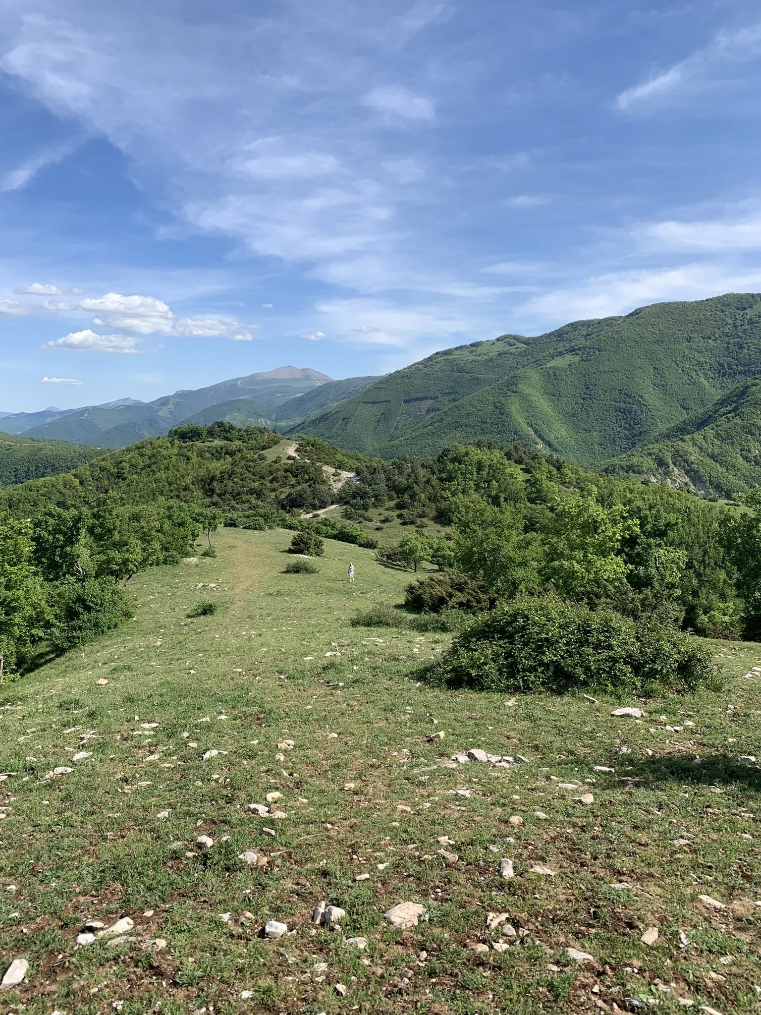 IMG_4892.JPEG