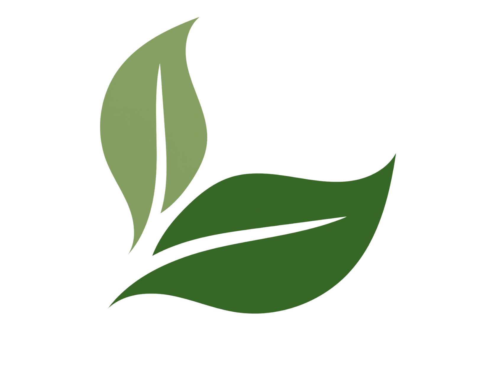Stylized green and dark green leaves with a yellow outline.