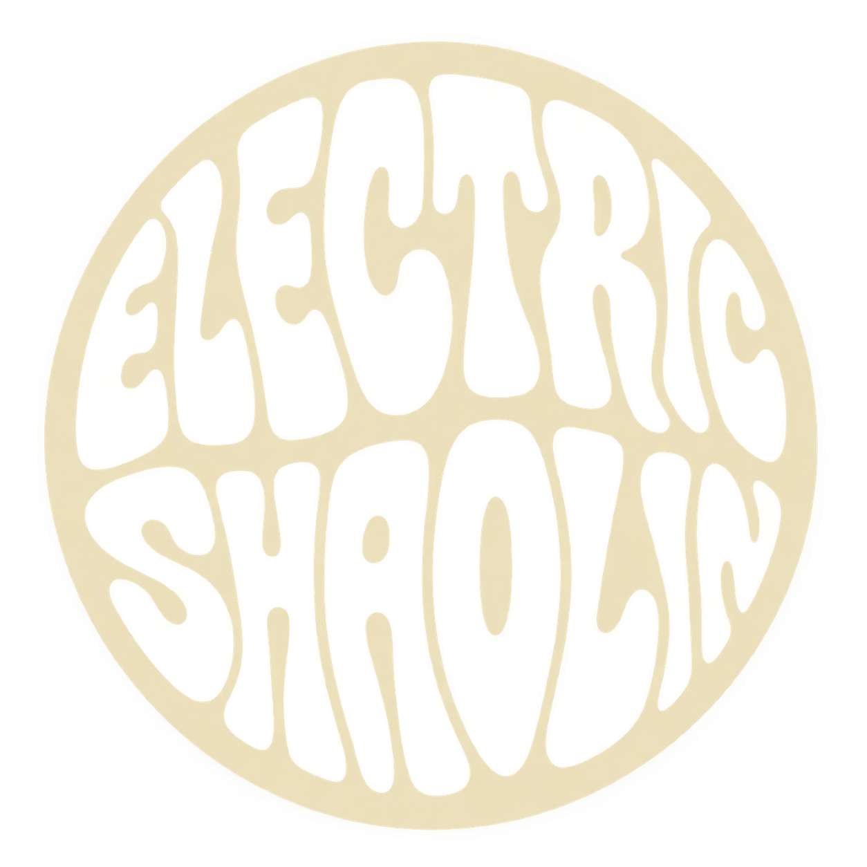 Electric Shaolin
