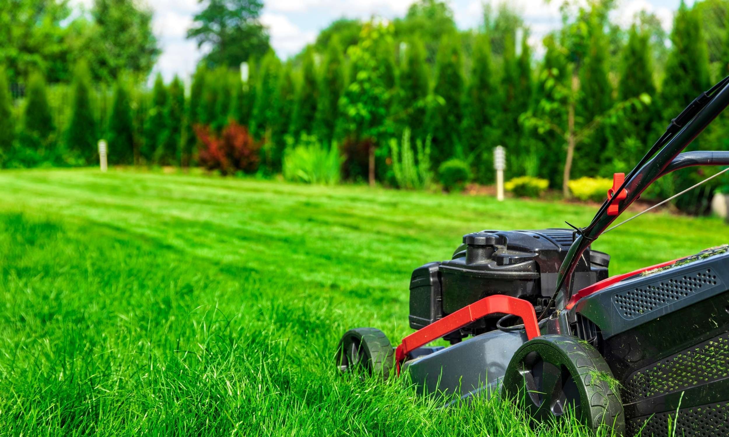 Logi Service utfører gressklipping i privat hage Kristiansand, Nodeland & Søgne
