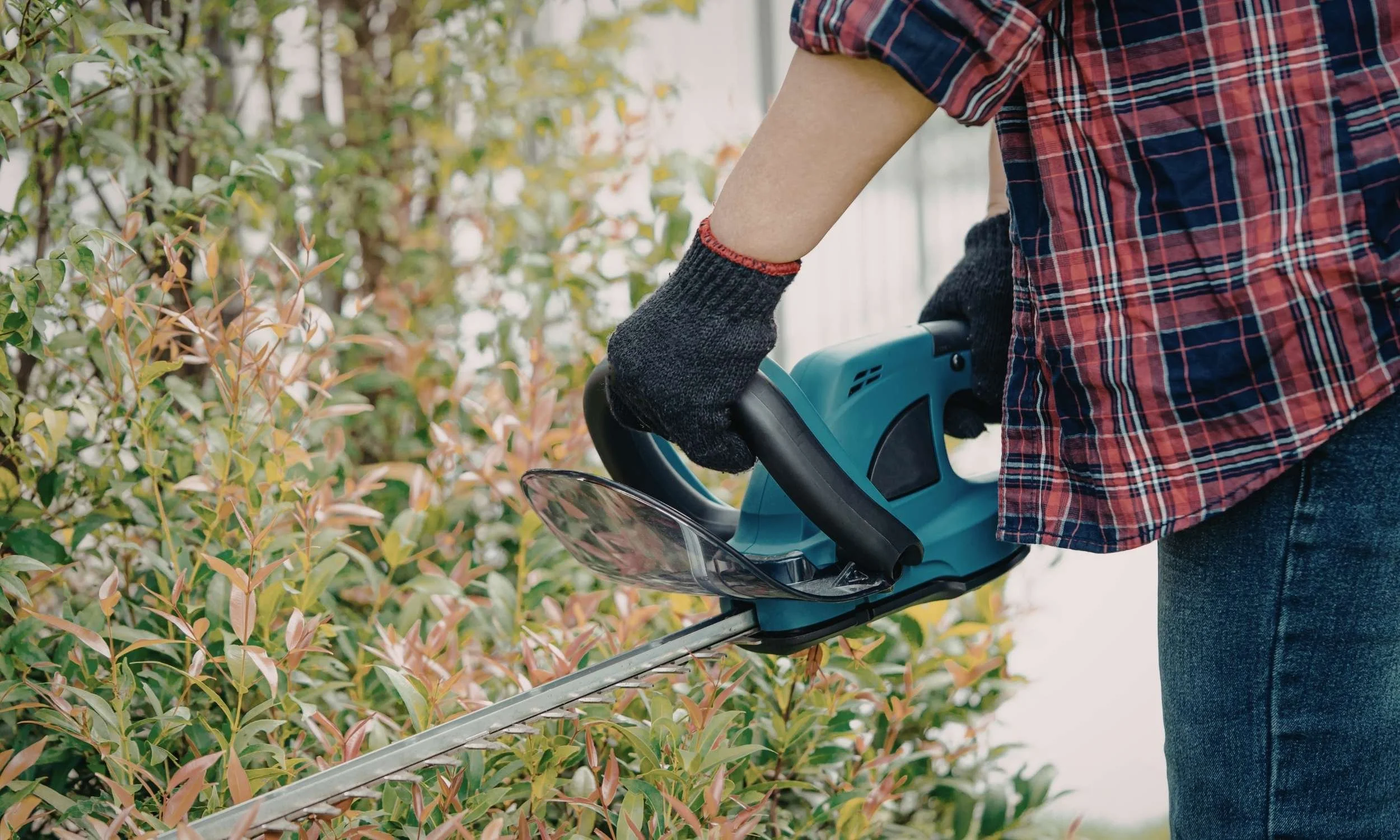 Hekktrimming i hageområde i Kristiansand, Nodeland & Søgne