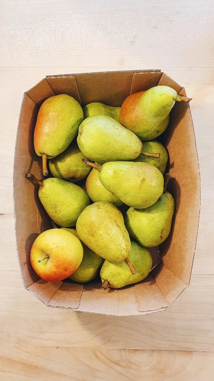 Ernährungsberatung