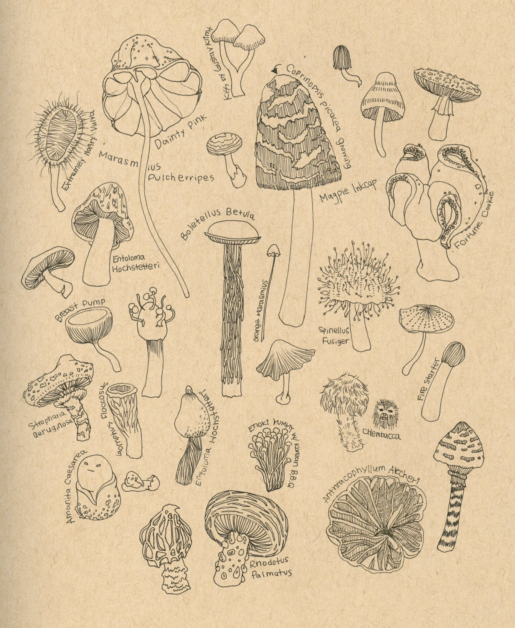 Mushrooms