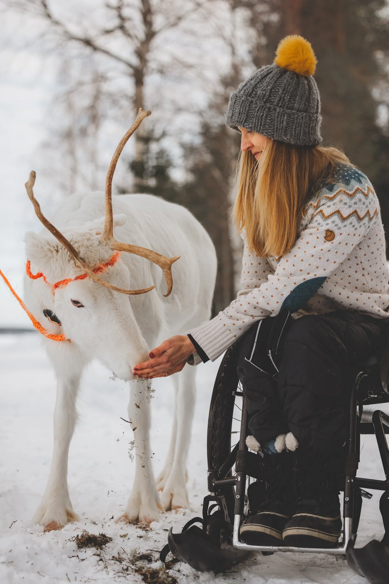 Valkoinen poro ja pyörätuolissa istuva nainen kohtaavat rauhallisesti toisensa.