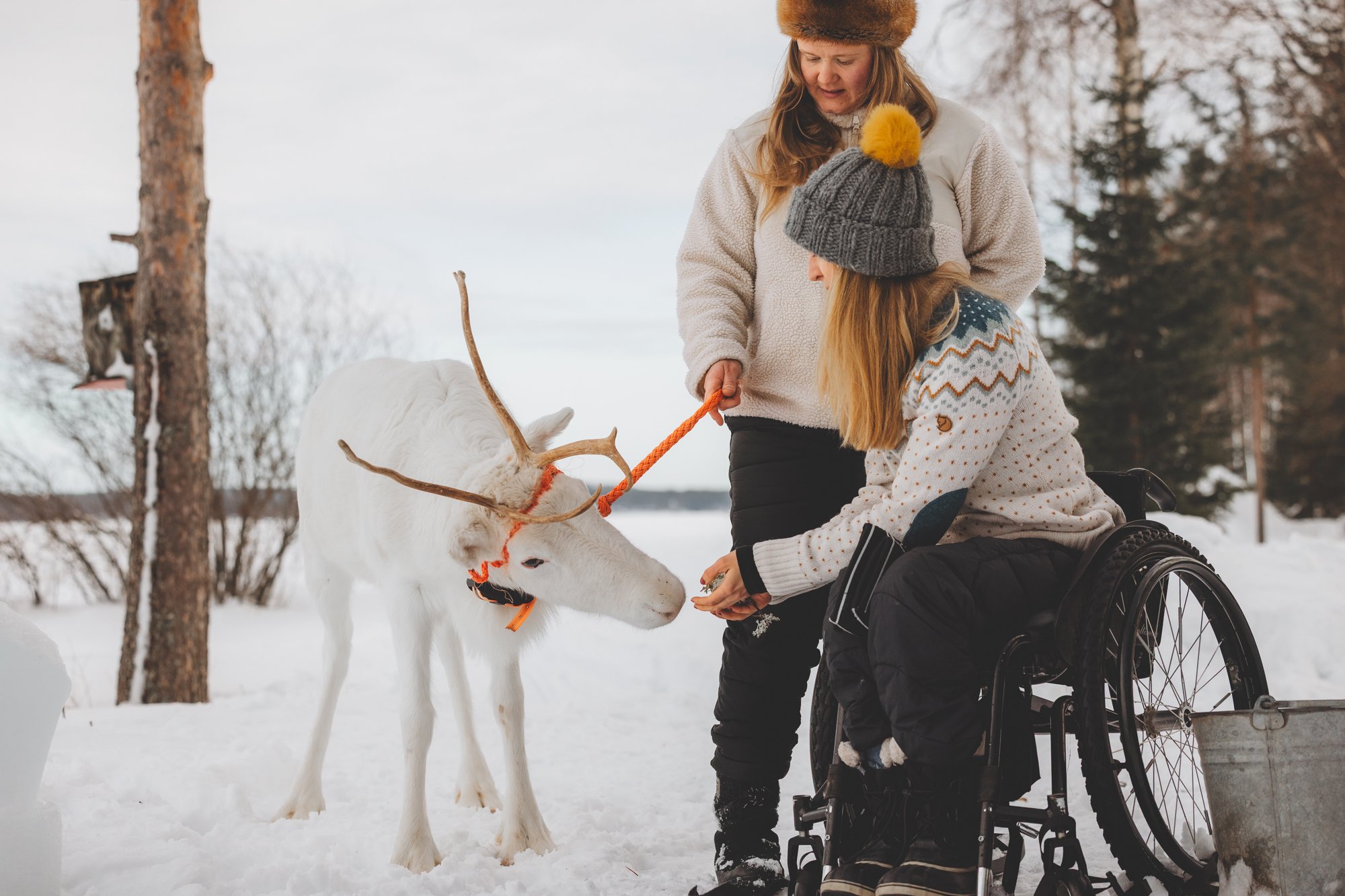Kaksi naista ja valkoinen poro. Toinen pitää poron narusta kiinni. Pyörätuolissa istuva nainen silittää poroa.