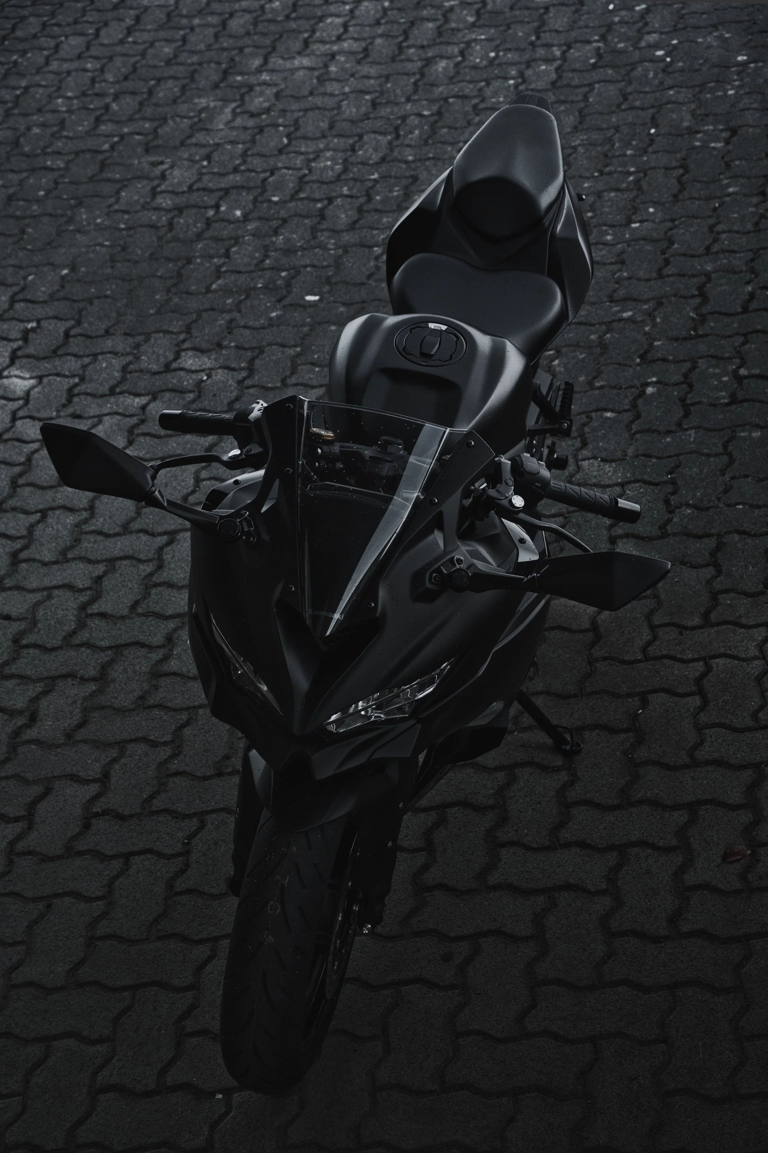 _LS79972.jpg