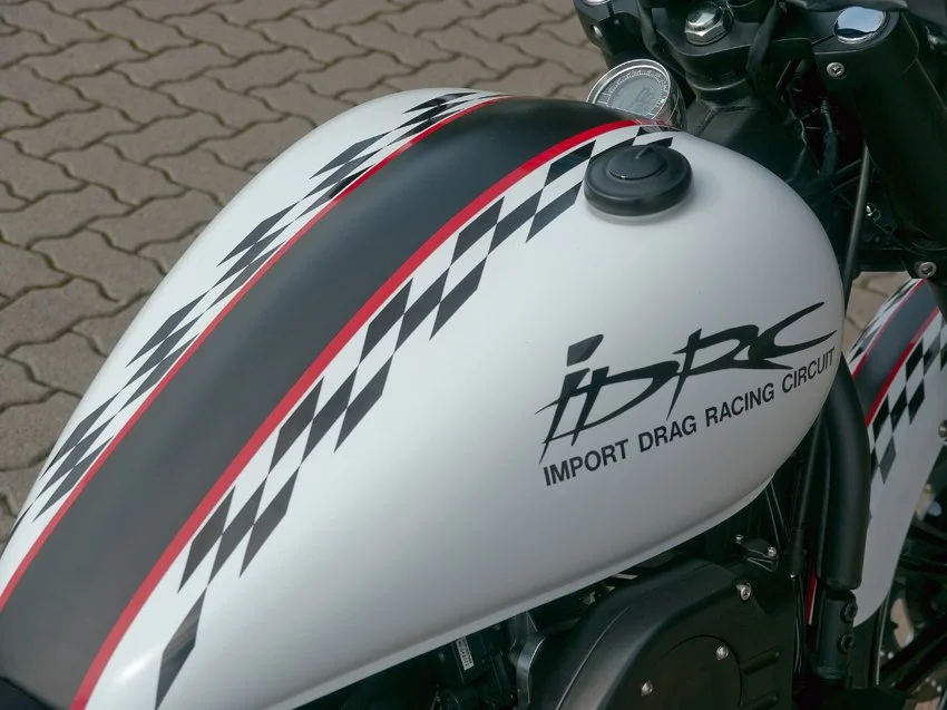 Kawasaki VN900 IDRC Höly Special Edition 2010 (4).jpg
