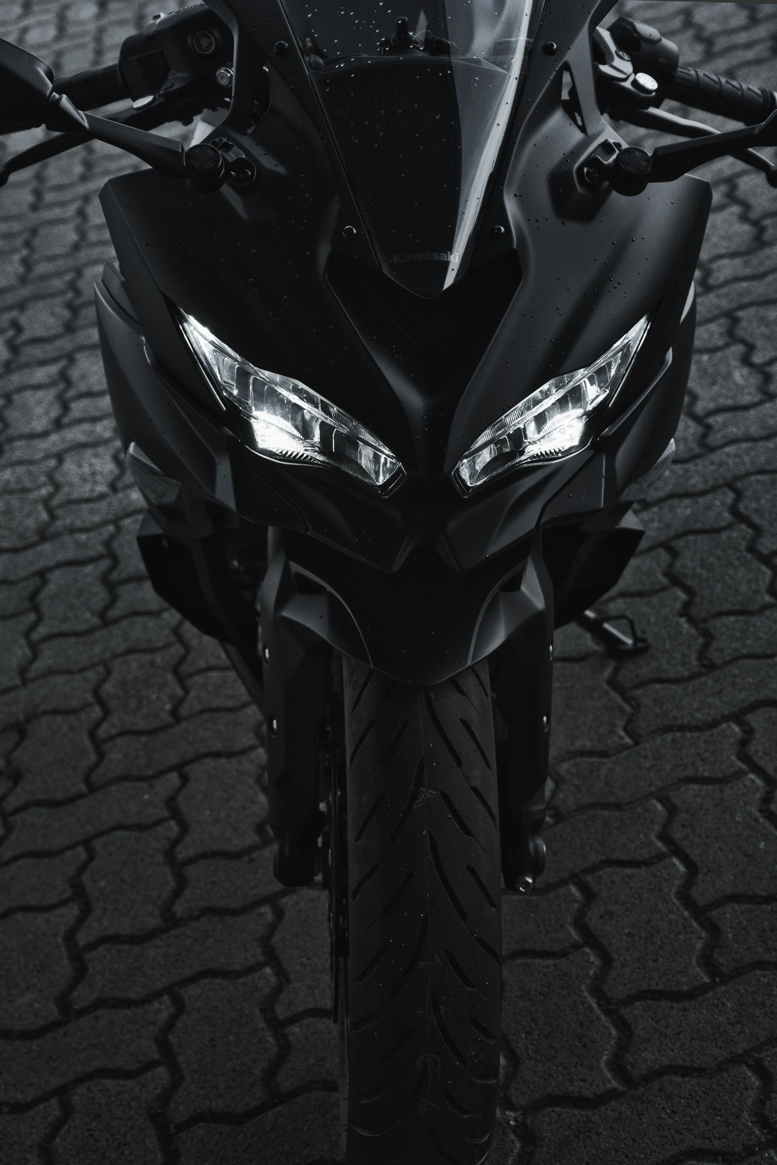_LS79949.jpg