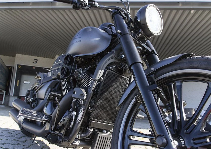 Kawasaki-VN900-Ultra-Hoely-Edition-2013_0009.jpg