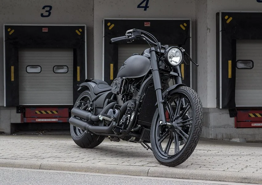 Kawasaki_VN900_IDRC_III_Special_Edition_2012.jpg