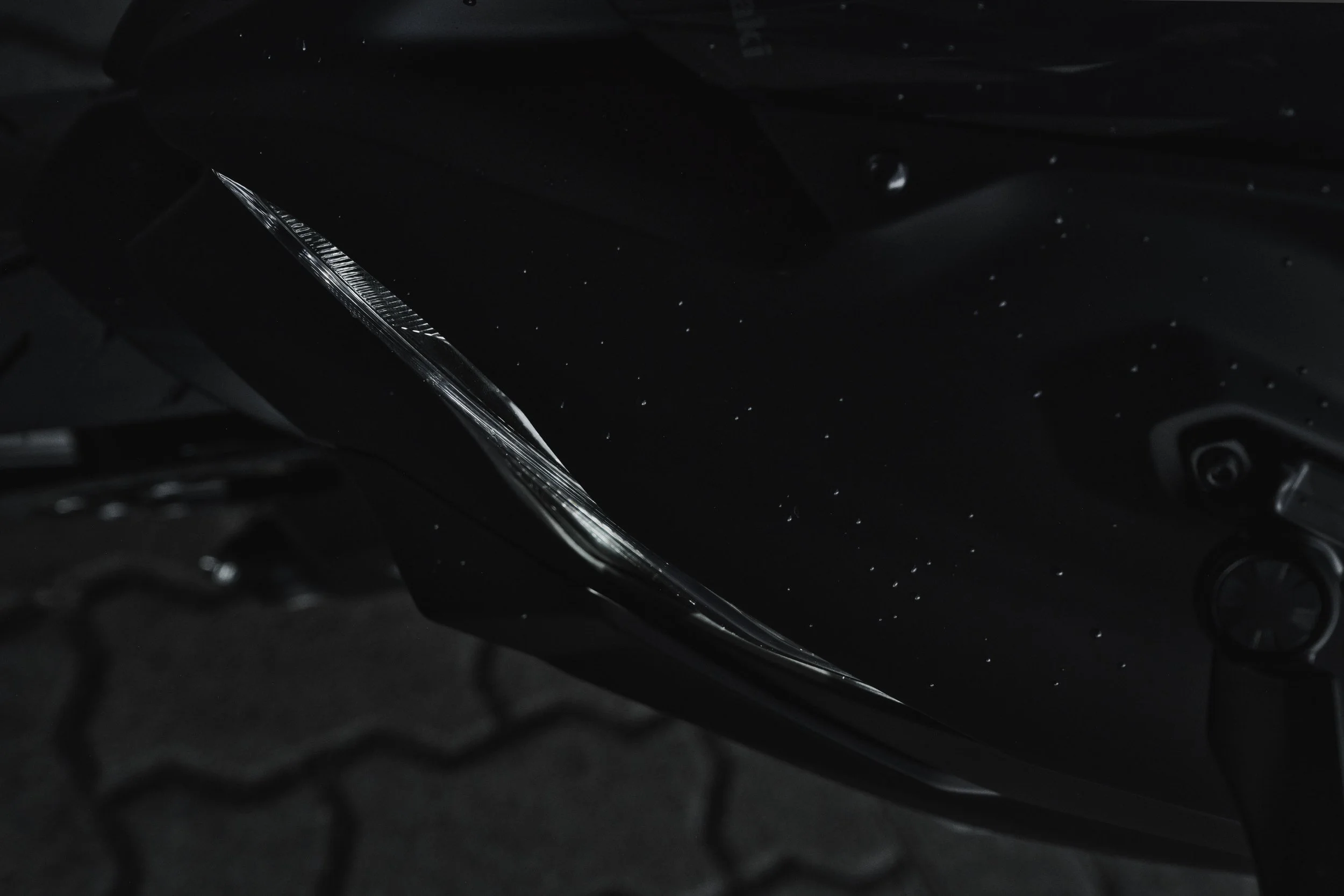 _LS79950.jpg