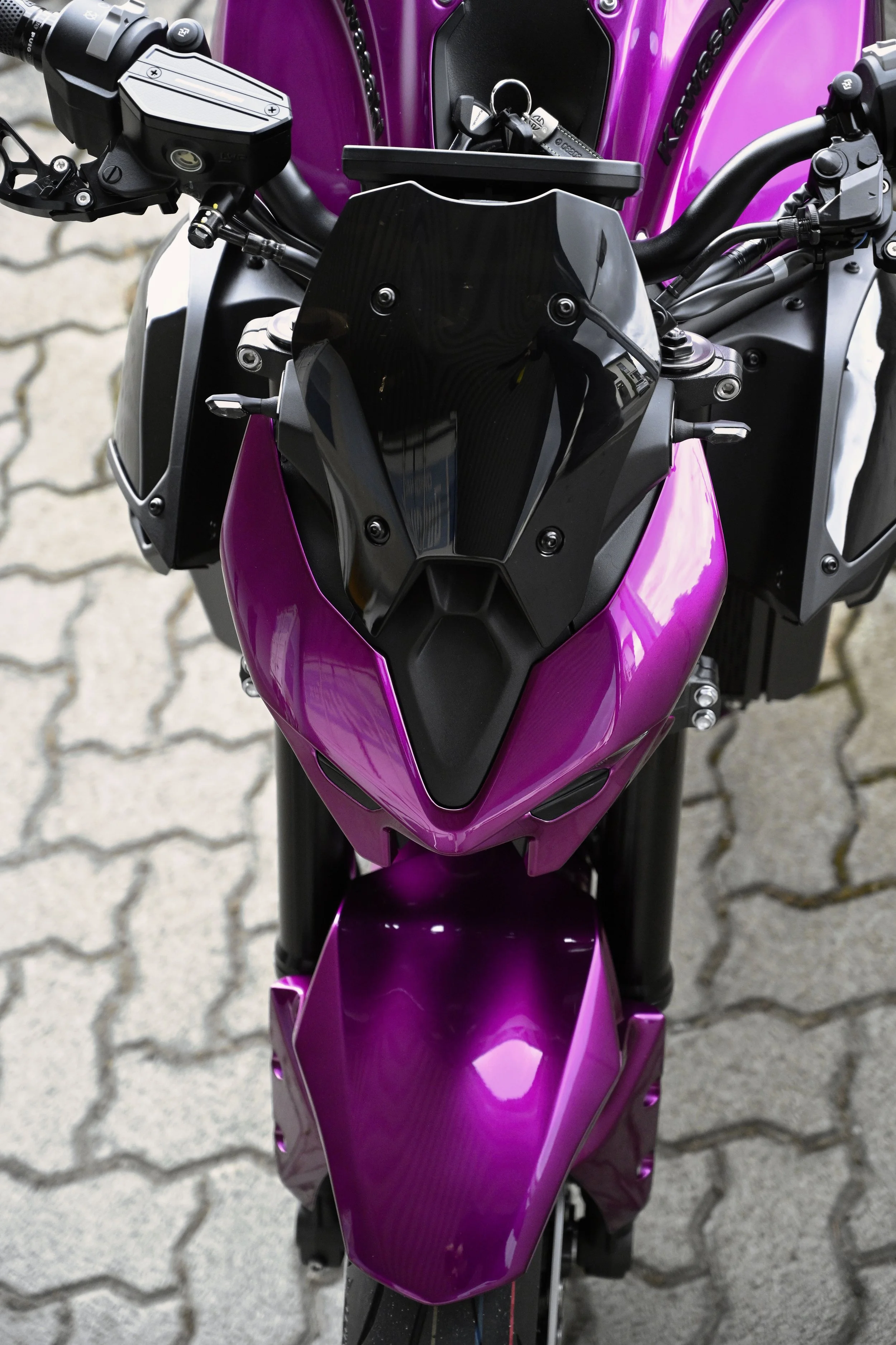 _LS75219.jpg