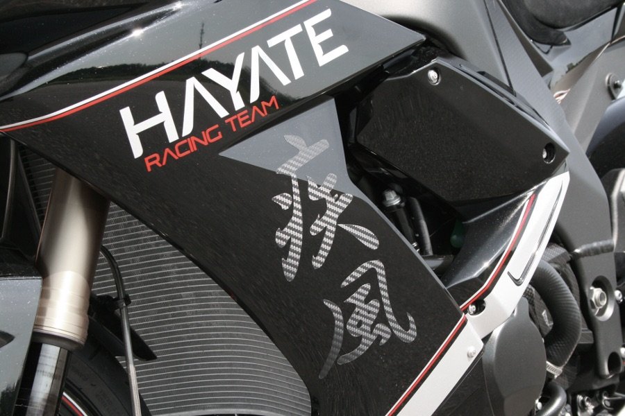 Kawasaki Ninja ZX-10R Black Melandri Höly Special Edition 2009 (10).jpeg