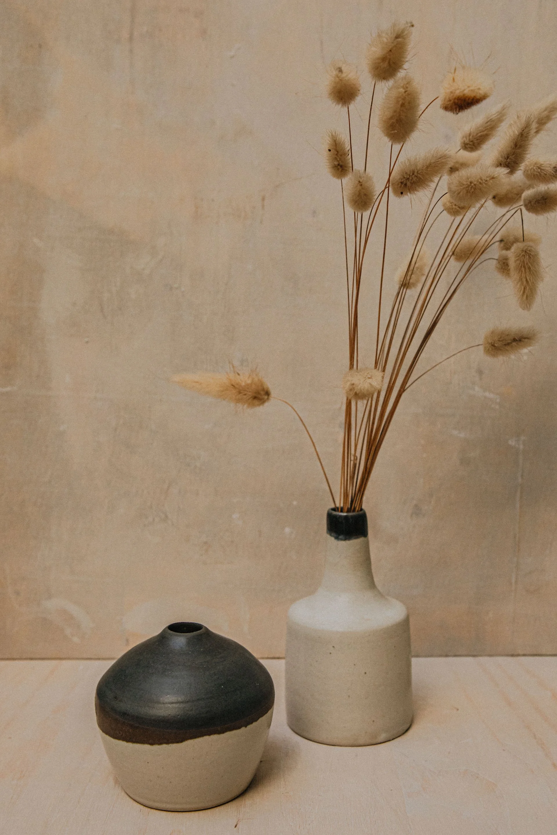 1F6A8646.jpg