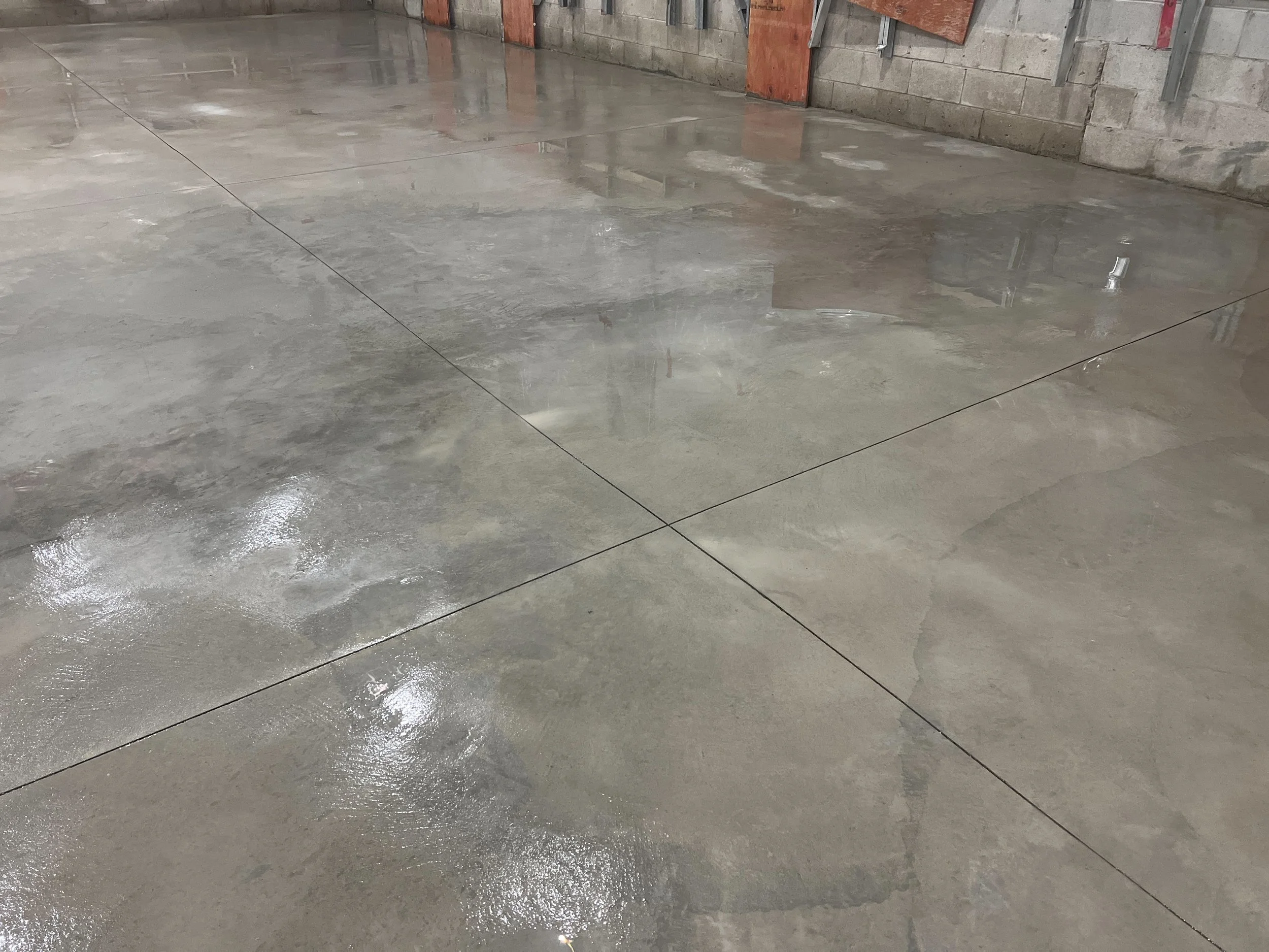 Freshly poured and polished concrete floor in an industrial or commercial space. Reflective surface with visible joint lines and some water or moisture.