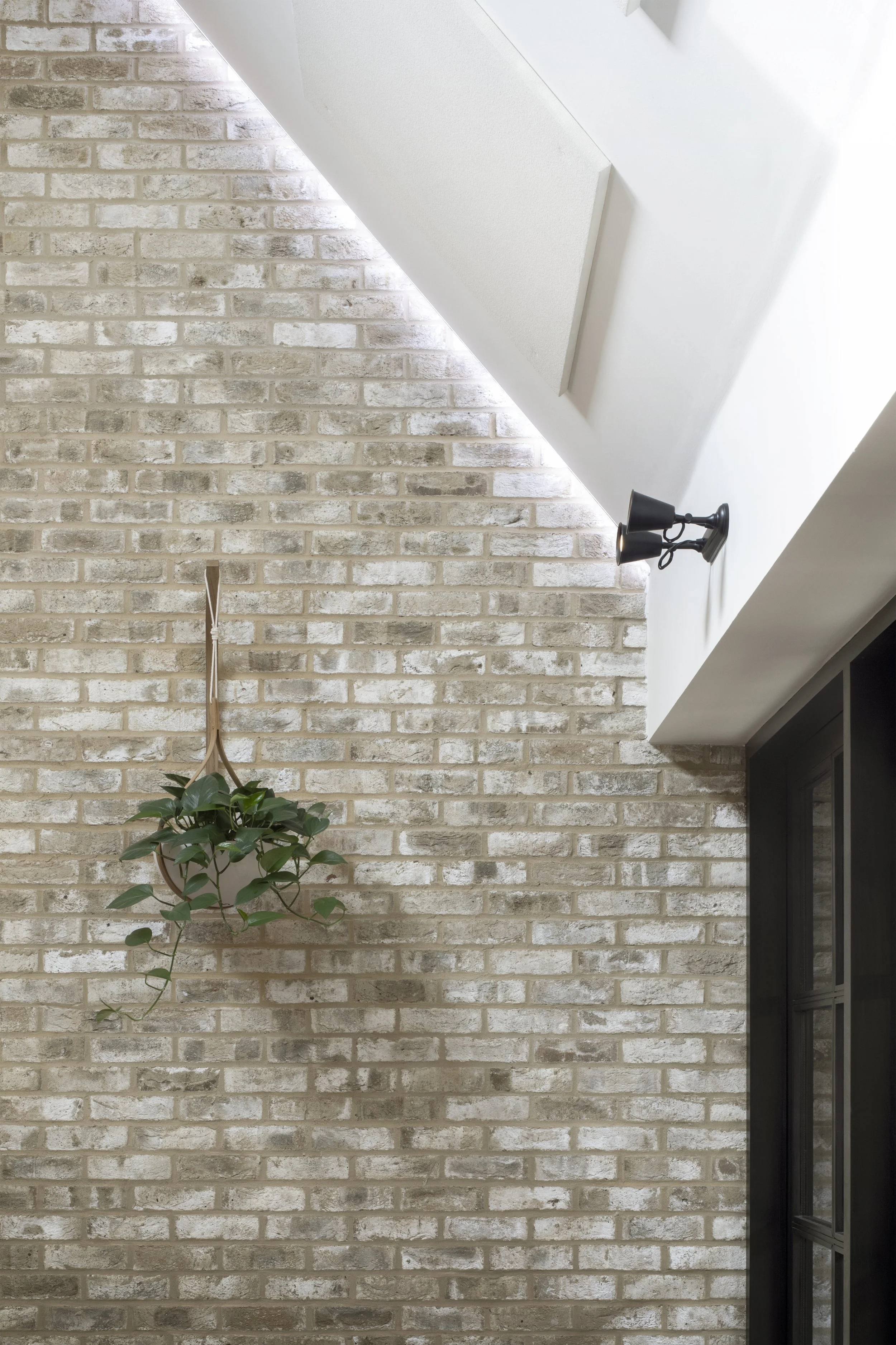 Interior wall with white brick and a hanging potted plant