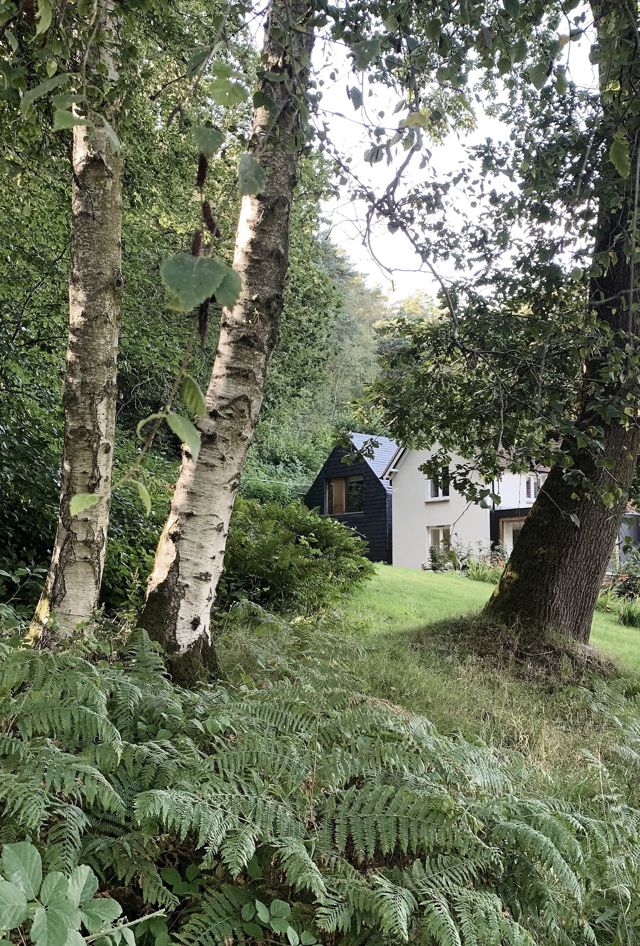 A residential house surrounded by trees and greenery, with a grassy yard in the foreground.