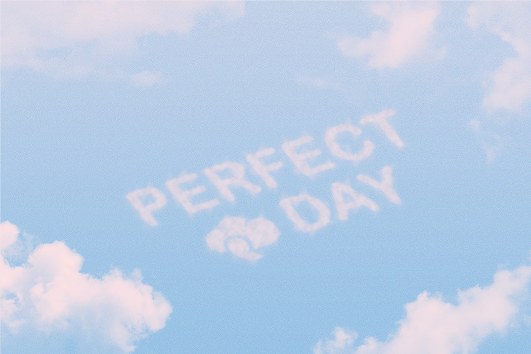 Perfect Day Productions