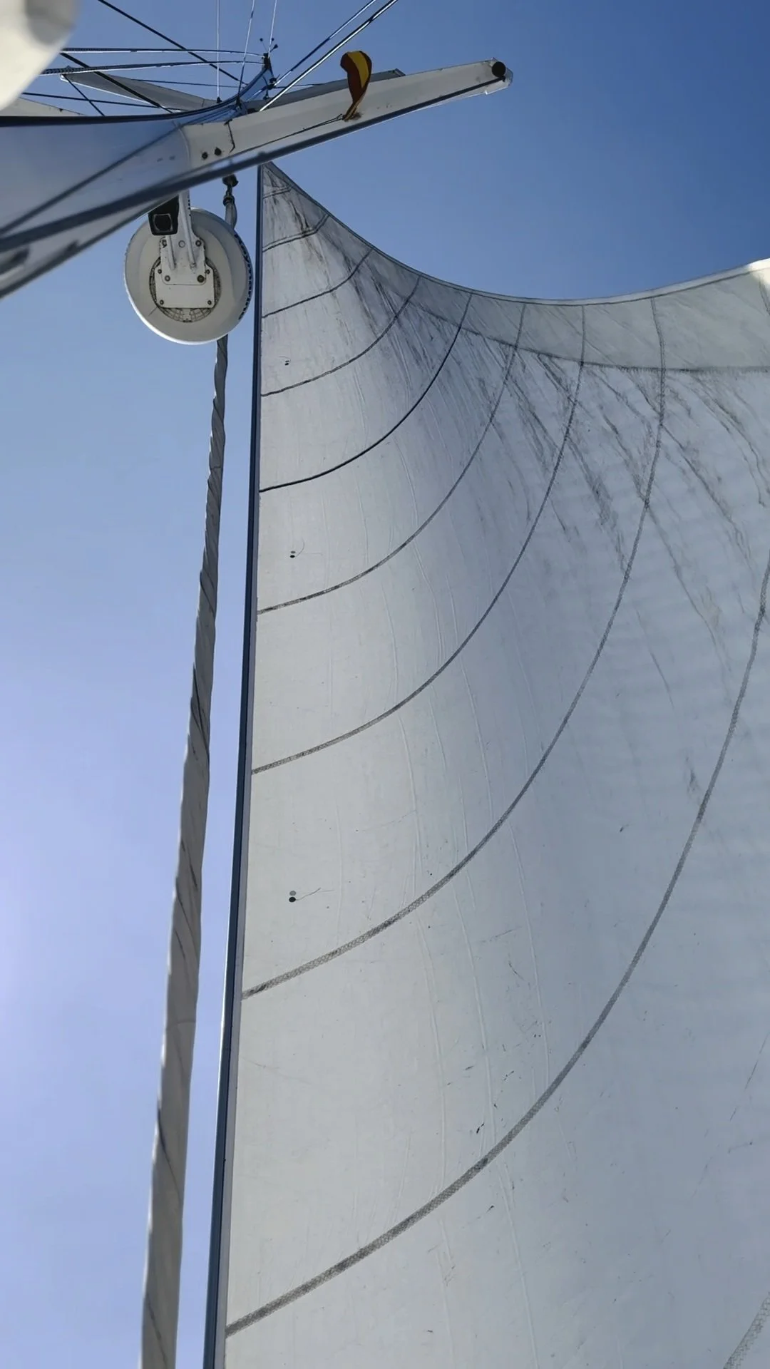p18_Rig_en_Sails_1.jpg