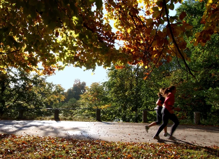 running-750x546.jpg
