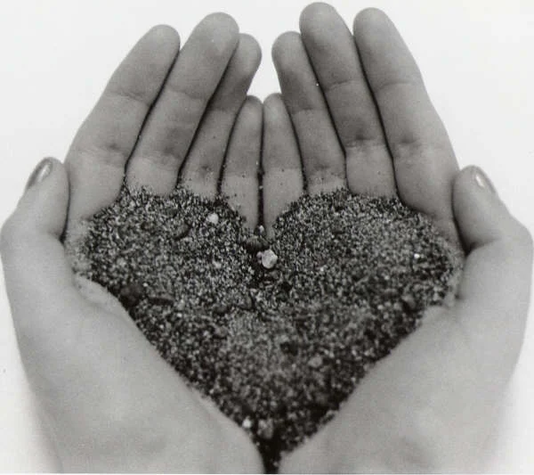 heart-in-my-hands-1183745.jpg