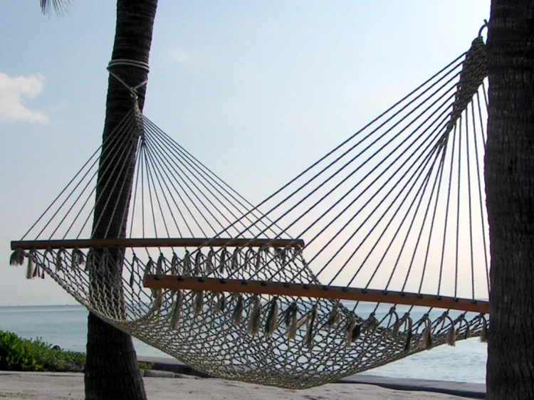 hammock-1543929-750x562.jpg