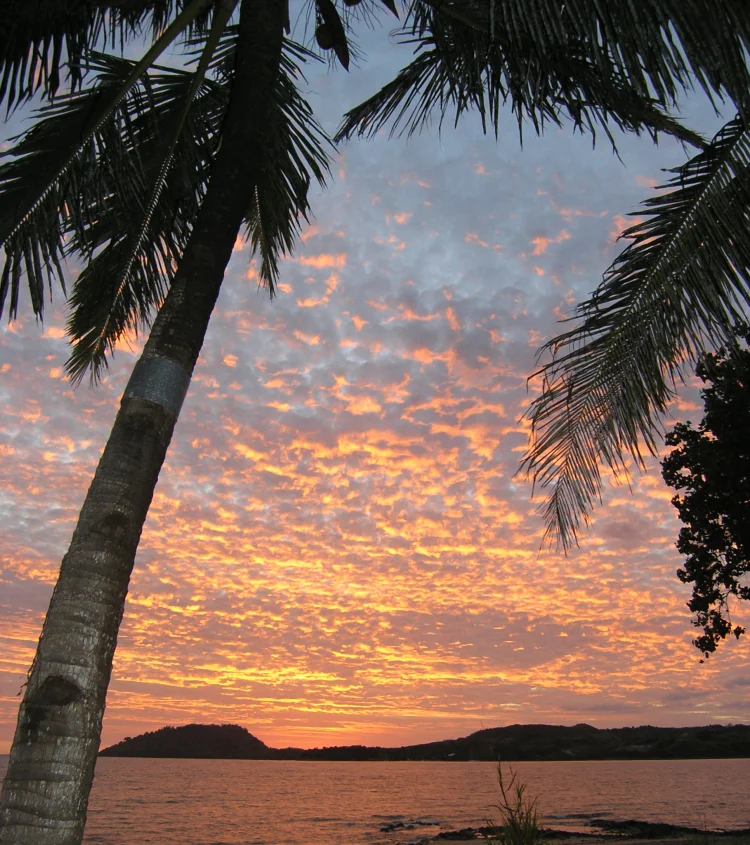 what-a-sunset-1391065-750x845.jpg