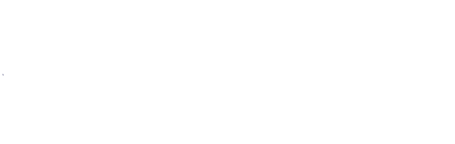 Parry Ray