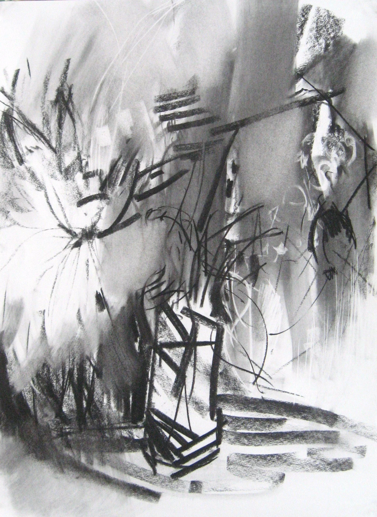 Black and white abstract drawing featuring a skull, plants, and geometric shapes with various lines and textures.