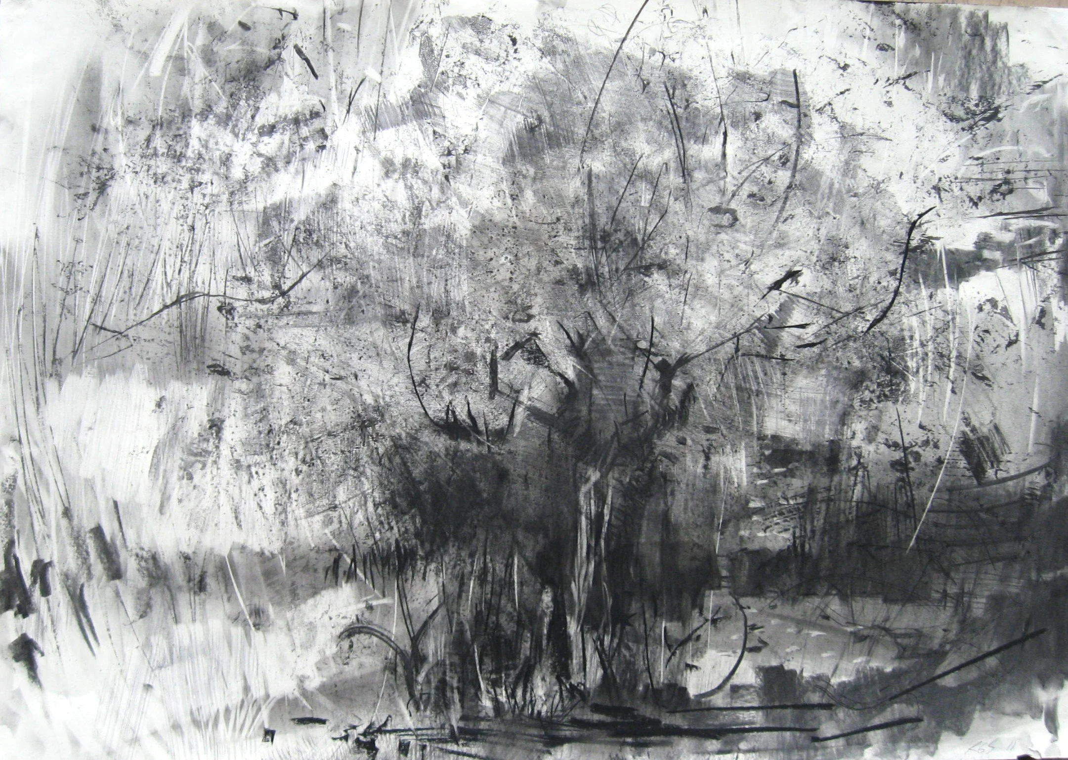 'Apple tree' 1 Mixed media on paper A1 2011.JPG