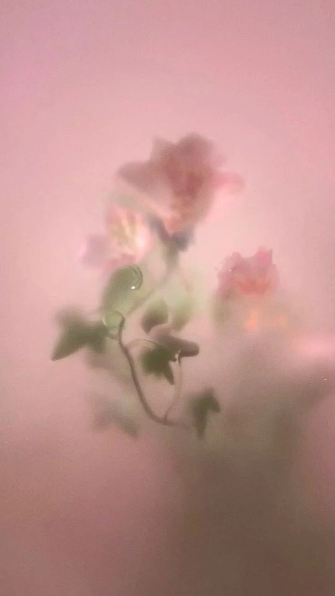 Self-Love & Inner Peace