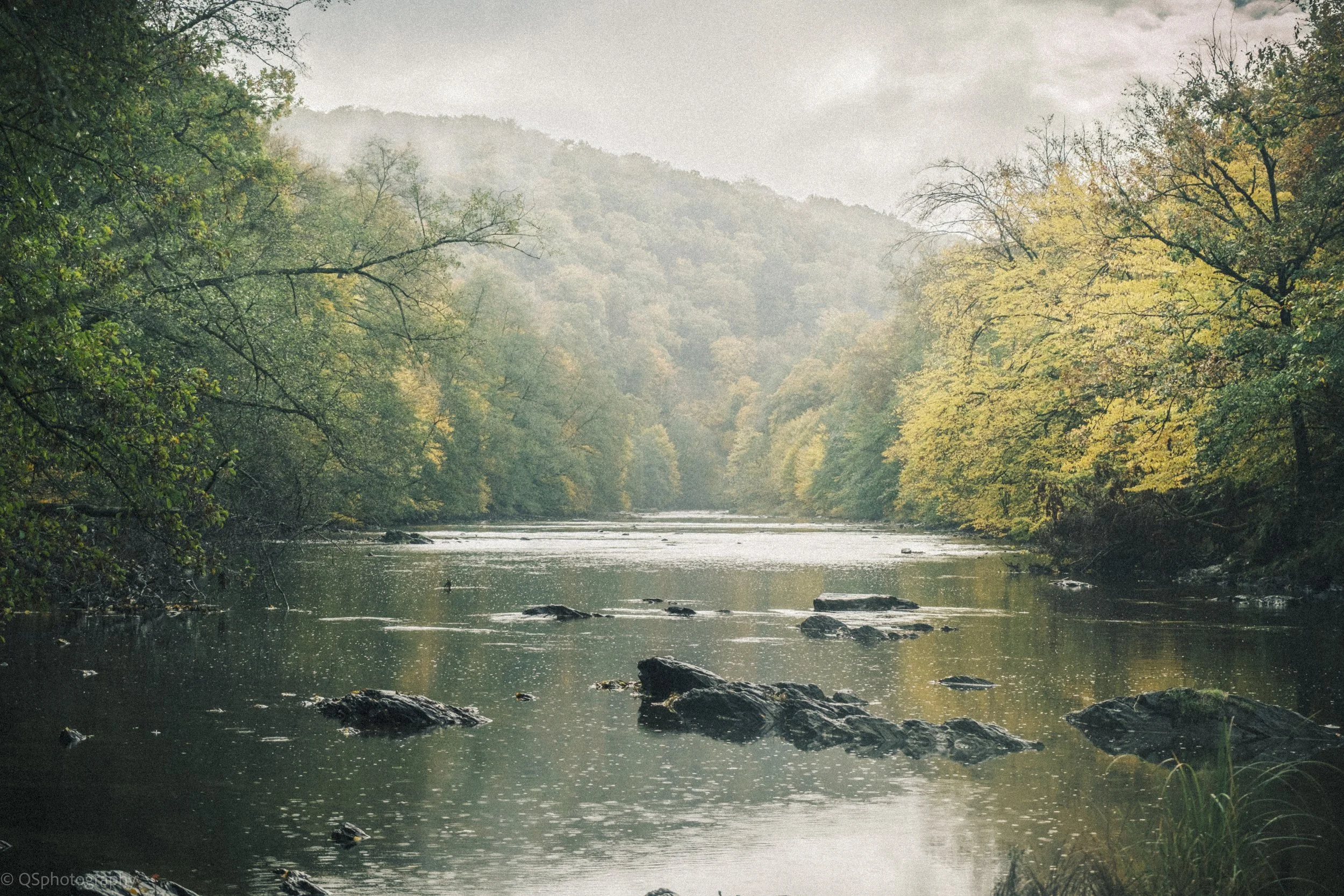 Une rivière paisible entourée de forêts | QSphotography | Namur