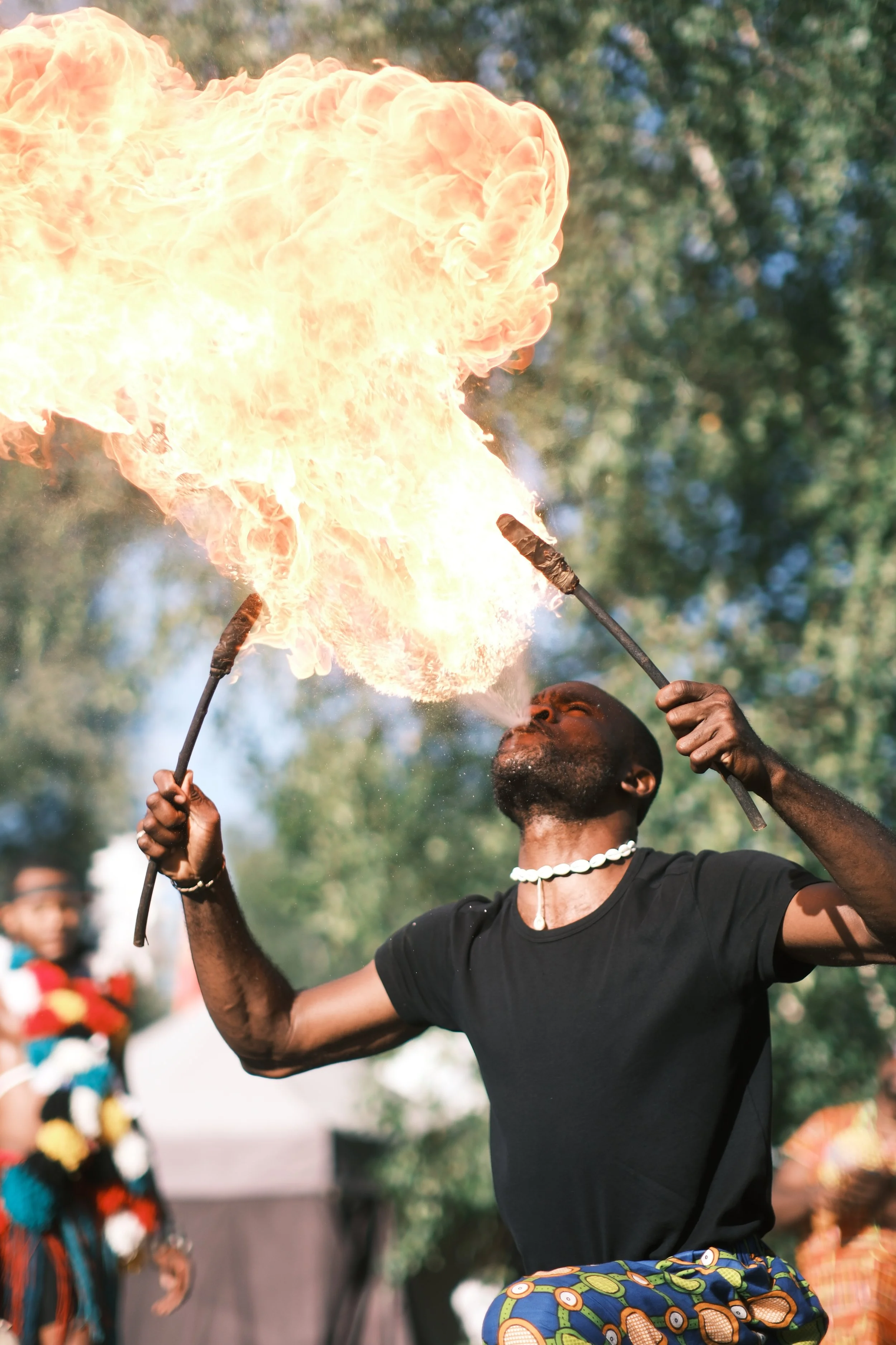 Festival Colorwoods | QSphotography | Namur