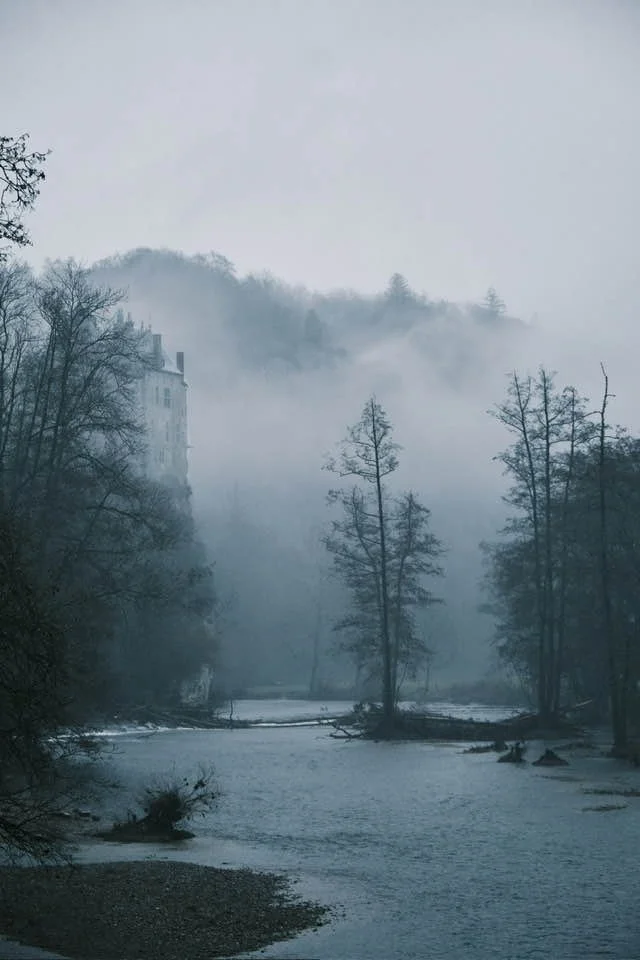 Paysage de forêt brumeuse avec une rivière | QSphotography | Namur