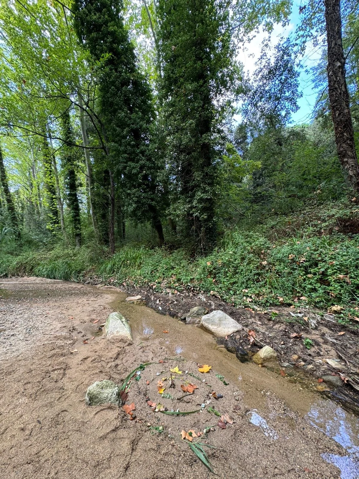A photograph of a ritual altar on a muddy riverbed, with leaves, rocks and twigs in the spiral. In the background is a lush green forest with various shades of light and dark green.